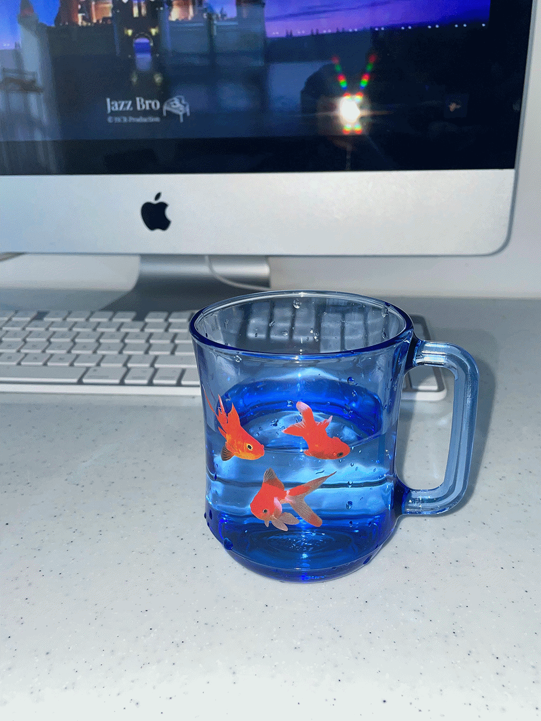 fish cup