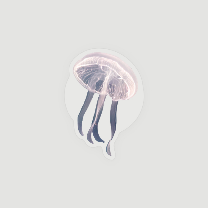 [rincomma made] jellyfish smart-tok